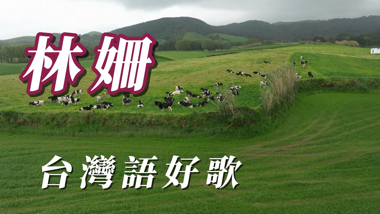 （林姍）台灣語好歌（用心分享謝謝朋友😃😃😃😃😃