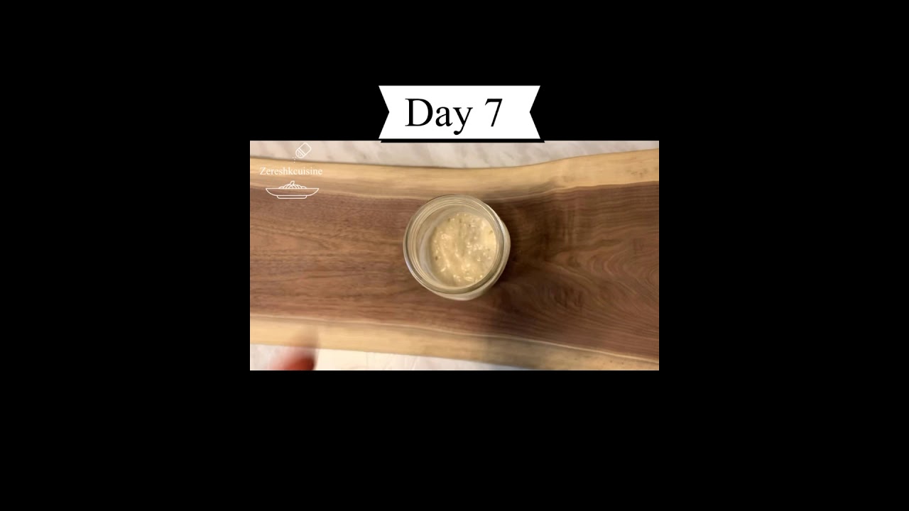 آموزش استارتر خمير ترش ، روز هفتم ( روز آخر)