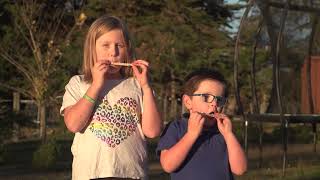 Kid Experiments: DIY Harmonica | Te Reo Māori | Darwin and Newts