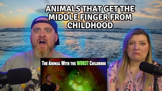 Animals that get the Middle Finger from Childhood @mndiaye_97 | HatGuy & @gnarlynikki React