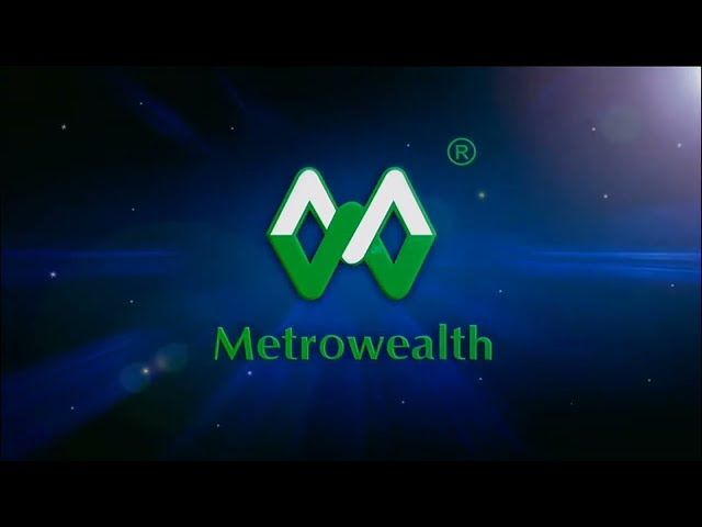 Metrowealth Movies Production Logo (2007) class=