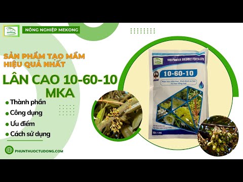 Sản phẩm tạo mầm hiệu quả nhất lân cao 10 – 60 – 10 MKA