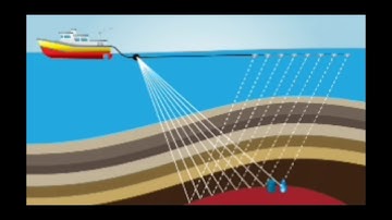 How seismic waves work