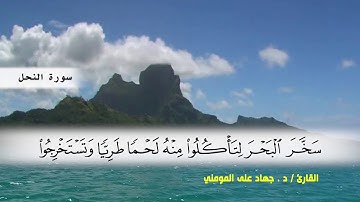 سورة النحل من ( ايه1 ) الى ( ايه 29 )  بصوت القارئ د.جهاد المومني