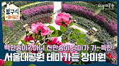 서울대공원 L 방구석 서울대공원 - Youtube