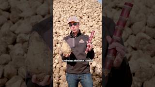 Amazing Two Totally Different Plants, One Sweet Result