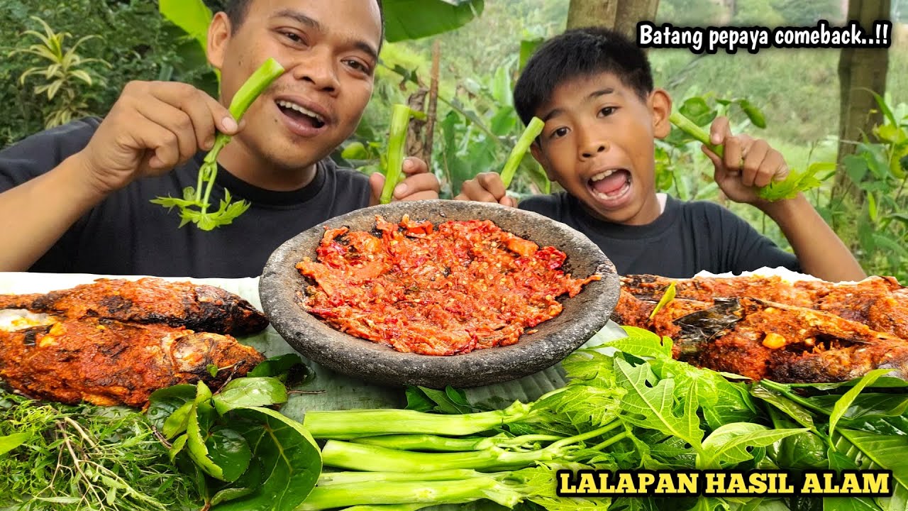 Mukbang Lalapan Mentah Hasil Alam Batang Pepaya Mamangkokan Daun 