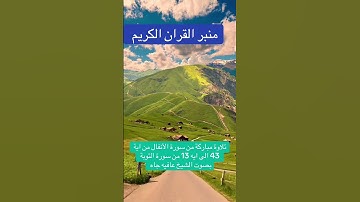 تلاوة مباركة لسورة الأنفال من ٤٣ إلى اية ١٣ سورة التوبة