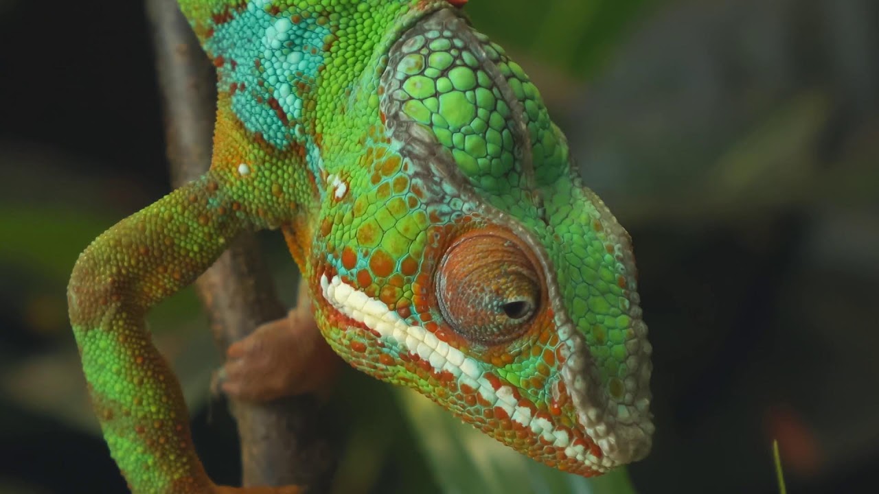 Relaxing Weekend Mood | Calm & Soothing Music