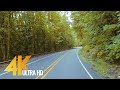 4k scenic forest drive  road to artist point wa  6 hrs with music
