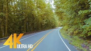 4K Scenic Forest Drive - Road to Artist Point, WA - 6 JAM (DENGAN MUSIK)