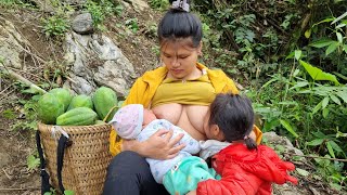 17 year old single mother - taking care of 27 day old baby - harvesting papaya to sell, Cooking