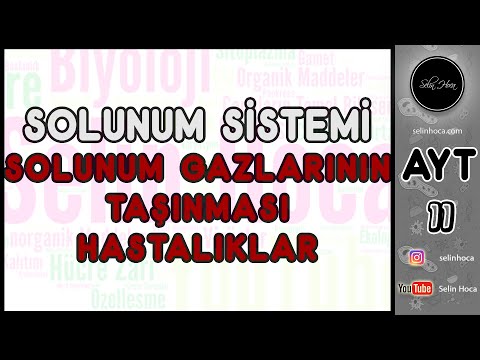 26) Solunum Sistemi - Solunum Gazlarının Taşınması - Hastalıklar