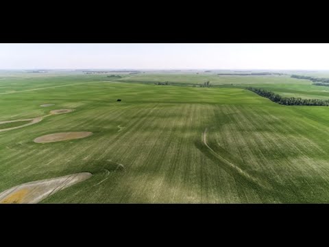 Habiterre Founding Story | Dr  Kaiyu Guan - video from HabiTerre
