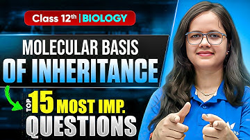 Class 12 Biology | Molecular Basis of Inheritance | 15 Most Important Question | UP Board Exam 2026