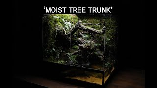 'Moist Tree Trunk' Frog and Newt Paludarium | '축축한 나무 줄기' 개구리와 뉴트를 위한 팔루다리움 | Indoor Jungle 실내 속 정글