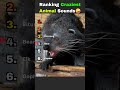 Craziest ANIMAL SOUNDS | This Escalates Fast 😳
