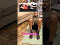 Simple Core Strength Workout (Beginner Friendly, Low Impact)