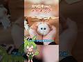 【コマ撮り】もじゃとまじょメイキング #ずんだもん #stopmotion