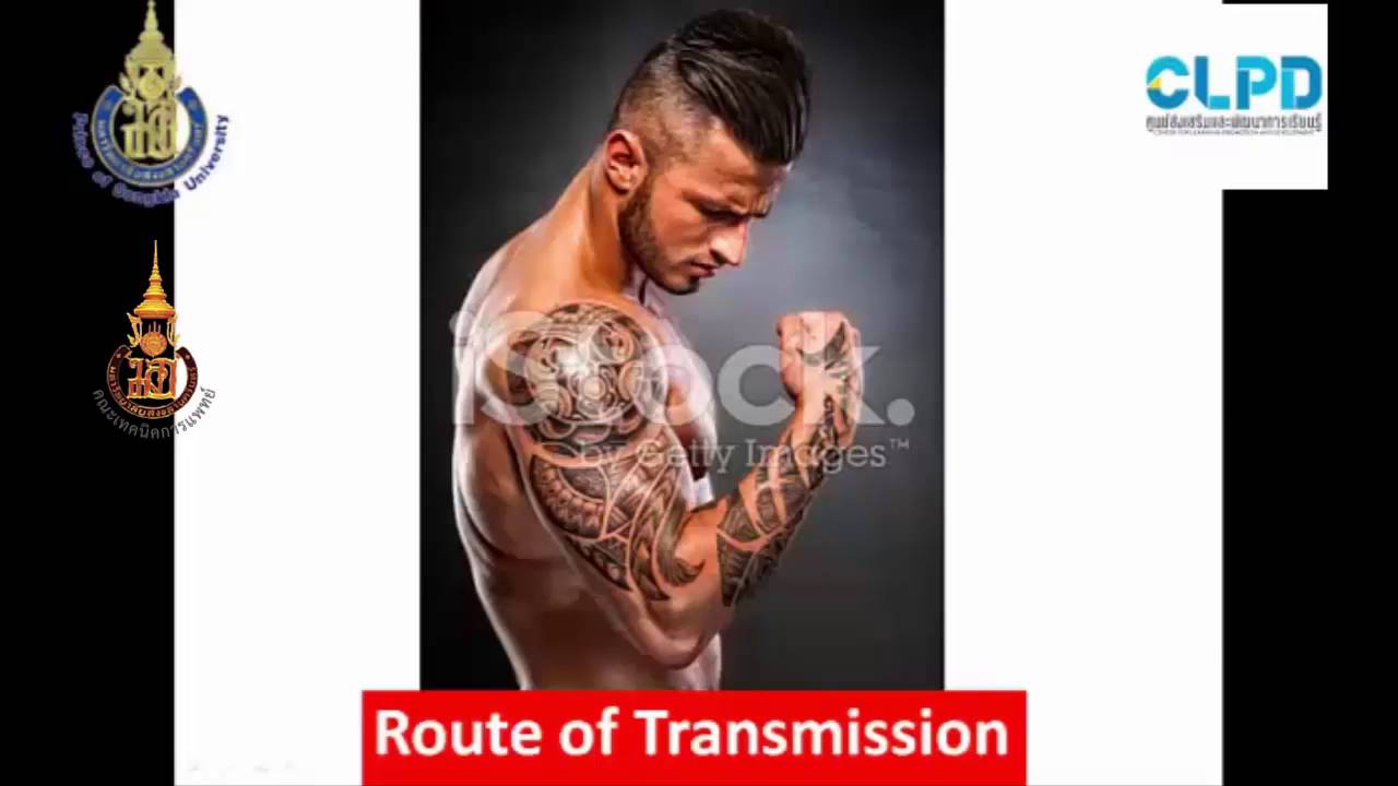 The interpretation of Viral Hepatitis B serological test