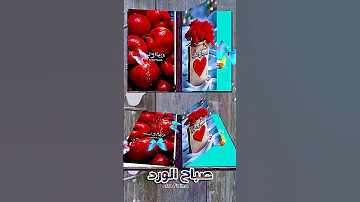 انت الورد 
