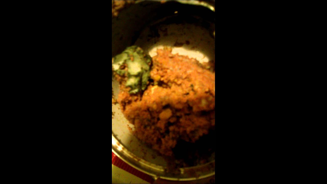 Hill's Science Diet Dog Food MOLD FOUND 2015 AUG YouTube