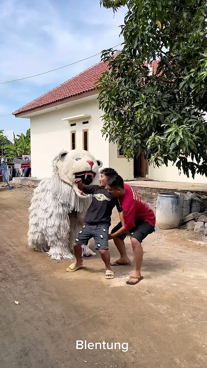 Ajak pokel main malah dimakan can macanan