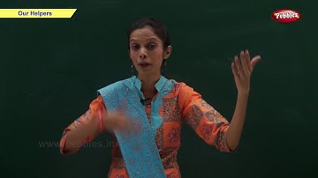 Our Helpers | Science Basics For Kids | Science For Class 1