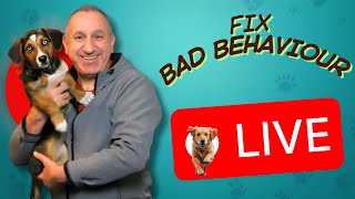 How To Fix A Dog's Bad Behaviour _ Live Q&A Session