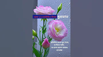 August 12 2025 