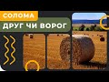 Солома - друг чи ворог? Спалити чи залишити? [GrowEx]