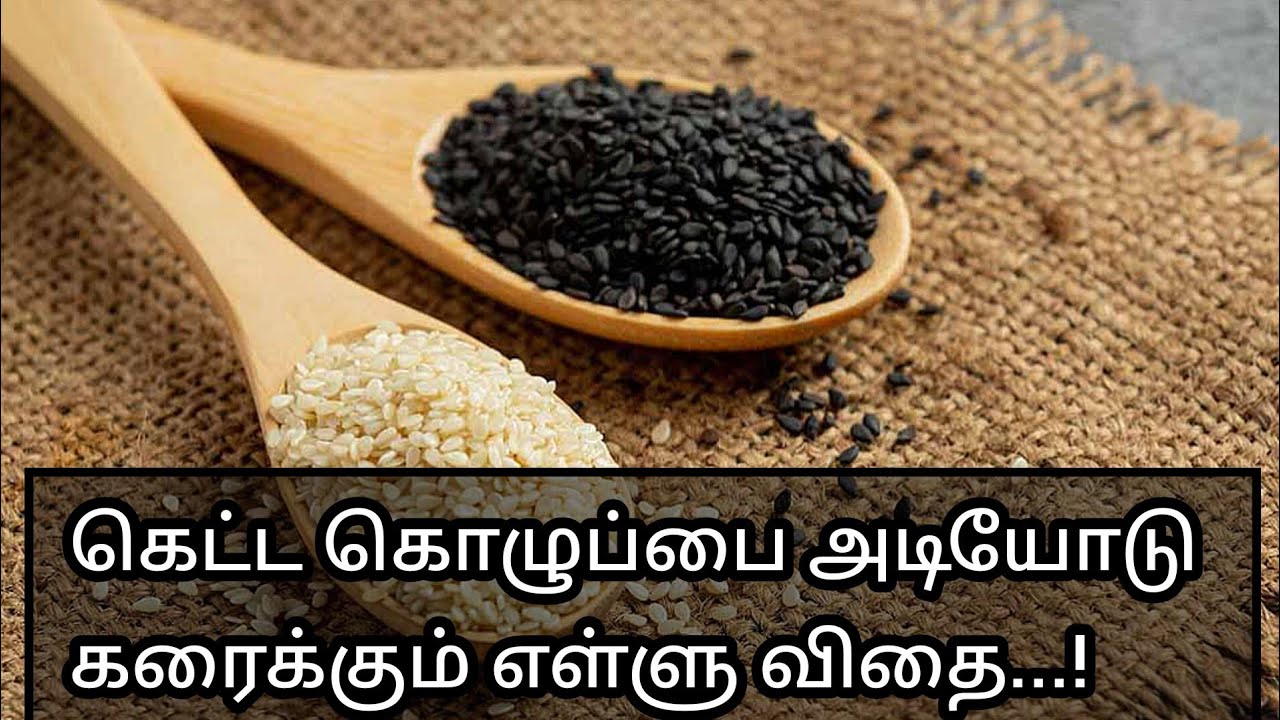கெட்ட கொழுப்பை கரைக்க உதவும் எள்ளு விதைகள் Sesame seed Health