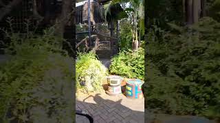 Kebun Binatang Maharani Lamongan