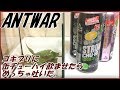 蟻戦争Ⅱ#109 ゴキブリに缶チューハイ飲ませたらびっくりするぐらい吐いた。編~I tried giving alcohol to cockroaches~