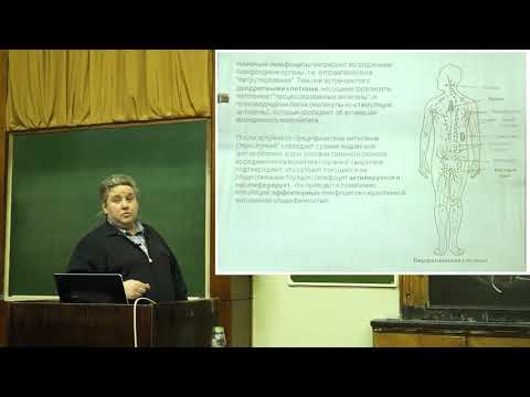 Купраш Д. В.