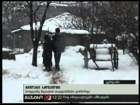 (12:00) 22/02/11 მგლები სოფელში