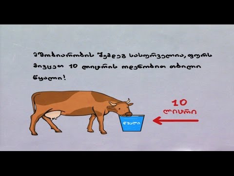 ფერმა - ვეტერინარის რჩევები - როგორ უნდა ვკვებოთ ხბო