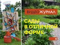 Видео журнал «Сады в отличной форме №4»