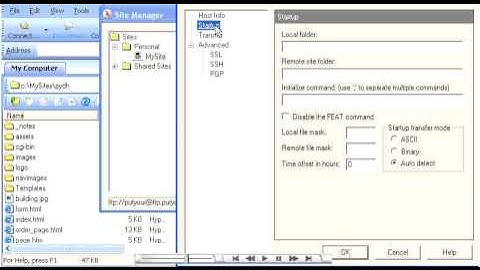 Configuring your site in WS FTP