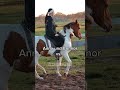 Askino consas vs jessica  askinoconsas jessicavonbredowwerndl6177 piaffe equestrian