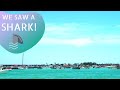 Crab Island // Destin, FL // We saw a SHARK!!!