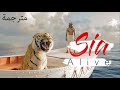 Sia Alive 2020 دائما هنالك أمل مترجمة 