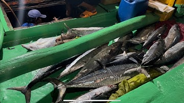 Tập 116 : Tour jig cá thu giàn khoan cuối năm 2021