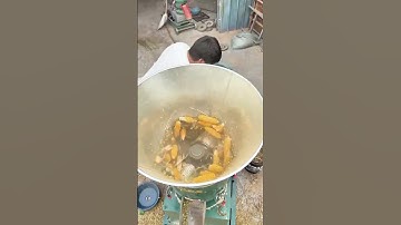 Process of making cow feed with corn and wheat