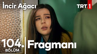 İncir Ağacı 104. bölüm fragmanı