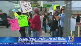 The protesters want a non-profit to take over and build new shelter in
town. peter daut reports.