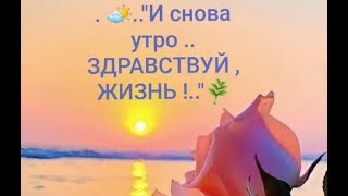 видео: Вопросы экономические. Стрим №410(24.10.2025) картинка: Вопросы экономические. Стрим №410(24.10.2025)