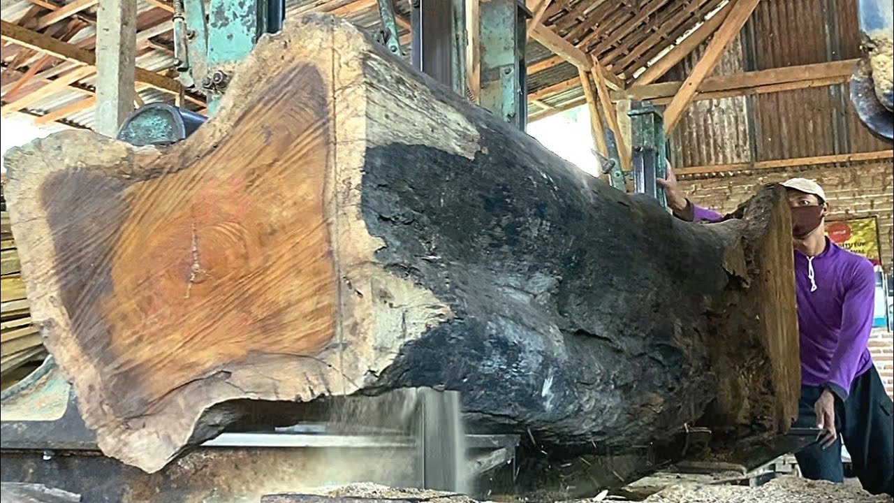 Incredible Beams From a Rare Cedar out of the woods sawmill - YouTube