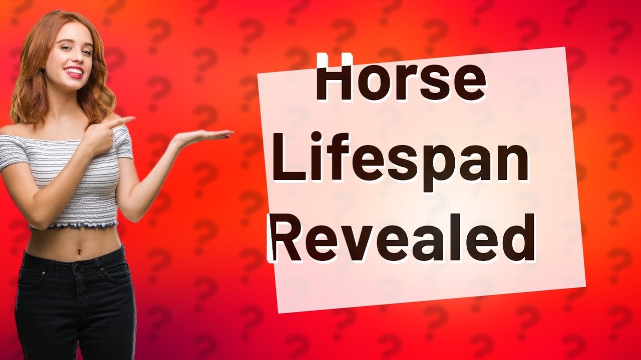 How Old Can A Bunny Live Up To