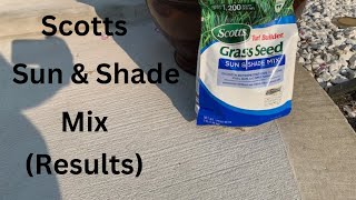 Overseed with Scotts Sun &amp; Shade Mix (Results) (Whitley &amp; Chill Season 3, Episode 11)